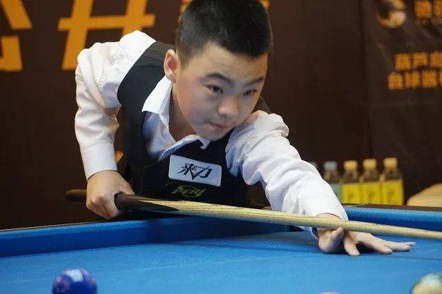 的美国波士 的美国波士